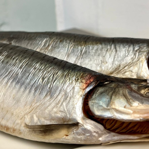 Bakharingen
