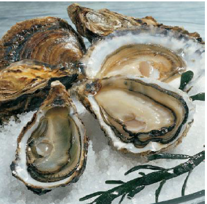 Oesters