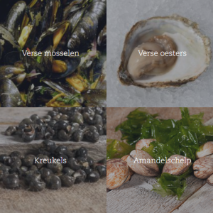 Schaal en schelpdieren