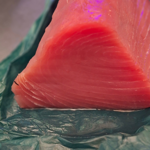 Tonijn  ( Sashimi )