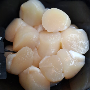Coquilles